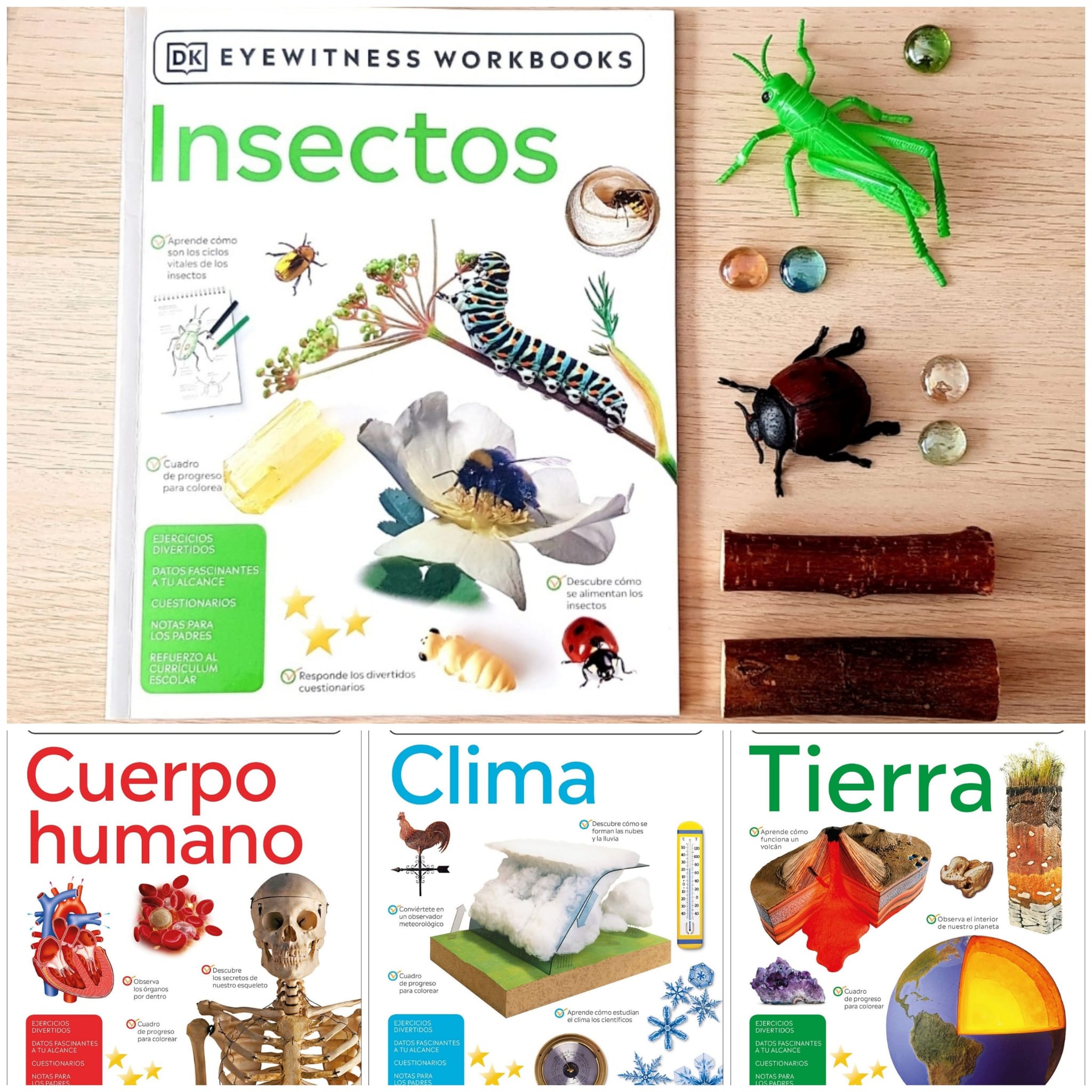 Hormigas: Libros Para Colorear Superguays Para Ninos y Adultos