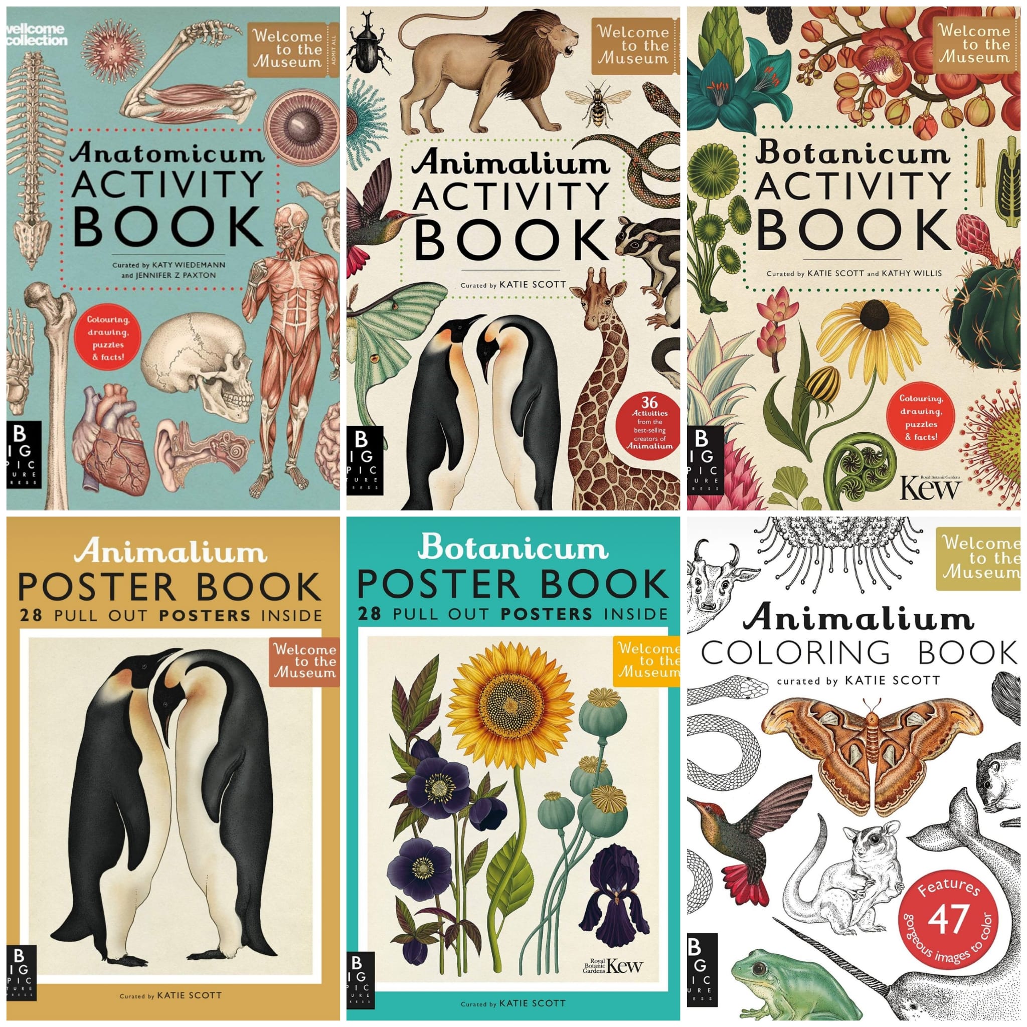 Animales bebés Libros para colorear para niños - 100 páginas para colorear  completamente únicas para niños de 4 a 8 años: Libro Para Colorear Para  Niños Y Niñas (Paperback) 