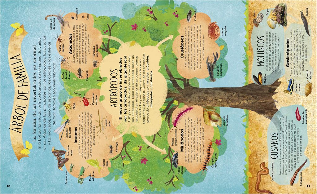 LA VIDA SECRETA DE LOS INSECTOS - La Casa Curiosa