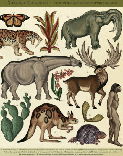 HISTORIA DE LA VIDA: EVOLUCIÓN (libro en acordeón) - Imagen 6