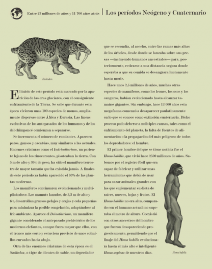 HISTORIA DE LA VIDA: EVOLUCIÓN (libro en acordeón) - Imagen 7