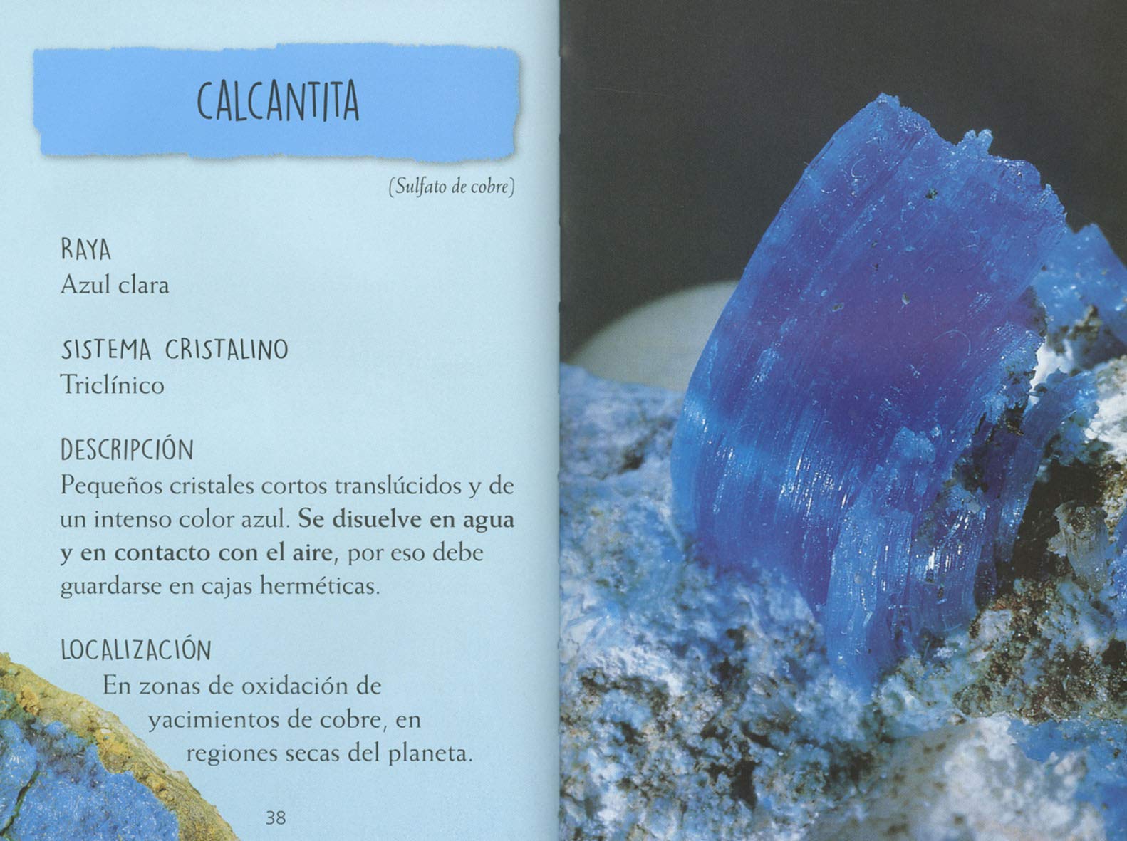 Descubre los minerales : Talavera, Estelle: : Libros