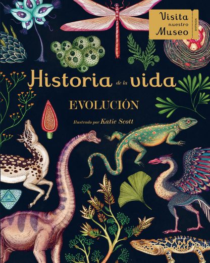 HISTORIA DE LA VIDA: EVOLUCIÓN (libro en acordeón)