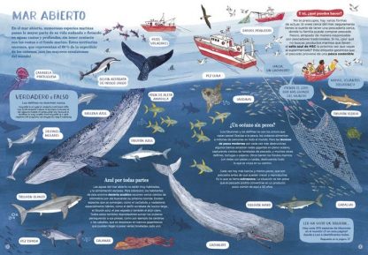 OCÉANOS Y CÓMO SALVARLOS - Imagen 5