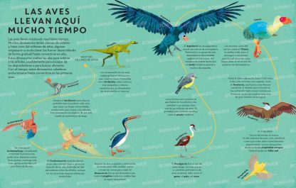 AVES POR TODAS PARTES - Imagen 4
